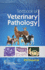 Textbook of Veterinary Pathology (Pb 2019)