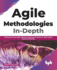 Agile Methodologies in-Depth: Delivering Proven Agile, Scrum and Kanban Practices for High-Quality Business Demands (English Edition)