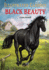 Illustrated Classics-Black Beauty: Abridged Novels With Review Questions