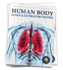 Human Body-Lungs and Respiratory System: Knowledge Encyclopedia for Children