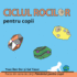 Ciclul rocilor pentru copii: The rock cycle for toddlers (Romanian edition)