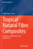 Tropical Natural Fibre Composites: Properties, Manufacture and Applications