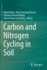 Carbon and Nitrogen Cycling in Soil