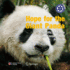 Hope for the Giant Panda: Scientific Evidence and Conservation Practice