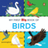 My First Big Book of Birds: Illustrated Board Book of Birds for Preschool Kids, Toddlers Book for 1+ [Penguin Early Learning Series]