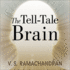 The Tell-Tale Brain: a Neuroscientist's Quest for What Makes Us Human