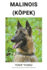 Malinois (Kpek)