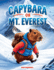 Capybara on Mt. Everest