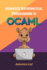 Advanced Mathematical Programming in OCaml: Cryptography, Geometry, Differential Equations, and Formal Verification (Coq/Z3)