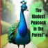 The kindest peacock in the forest.