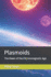 Plasmoids: the Dawn of the Electromagnetic Age