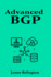 Advanced Bgp: Route Engineering and Traffic Policies