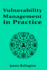 Vulnerability Management in Practice