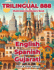 Trilingual 888 English Spanish Gujarati Illustrated Vocabulary Book: Help your child master new words effortlessly