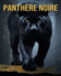 Panthre Noire: Faits Amusants et Intressants et Images sur les Panthre Noire