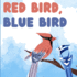 Red Bird, Blue Bird