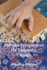 Polyglot Perspectives On Linguistic Change: A comparative assessment of various language change models across languages, considering theories and linguistic outcomes