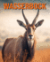 Wasserbock