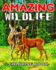 Amazing WildLife Coloring Book: A Relaxing Coloring Book for Adults with Amazing Wild Animals, Forest, Wildlife, Nature and Beautiful Stress Relief Designs