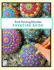 Rock Painting Mandala Exercise Book: the Art of Stone Painting | Rock Painting Books for Adults With Different Templates | Mandala Rock Painting Books | How to Paint Mandala on Rocks