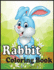 Rabbit Coloring Book: An adults rabbits coloring book (bunny rabbit coloring book)