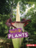 Weird Plants Format: Paperback