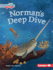 Norman's Deep Dive Format: Library Bound