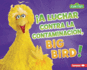 A Luchar Contra La Contaminacin, Big Bird! (Fight Pollution, Big Bird!)