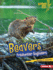 Beavers: Freshwater Engineers