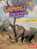 Elephants: Forest and Savanna Engineers