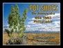 Pot Shots The Journey of a HIGH TIMES Photographer