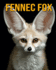 Fennec Fox: Fun Facts Book for Kids