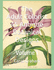 The Adult Colorist - 45 Antique Botanical Designs: Volume 1