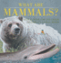 What are Mammals? Animal Book for 2nd Grade Children's Animal Books