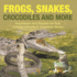 Frogs, Snakes, Crocodiles and More Amphibians And Reptiles for Kids Children's Reptile & Amphibian Books