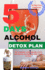 5 days alcohol detox plan: Tips to overcome alcohol addiction in 5 days with 20 practical strategies that works in 9 out of 10 men.