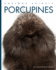 Porcupines