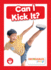 Can I Kick It?