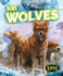 Dire Wolves