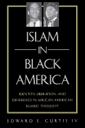 Islam in Black America: Identity, Liberation, and Difference in African-American Islamic Thought