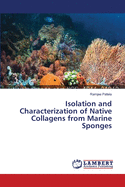 Isolation and Characterization of Native Collagens from Marine Sponges