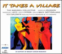 It Takes a Village - Various Artists