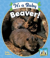 It's a Baby Beaver