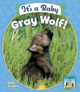 It's a Baby Gray Wolf