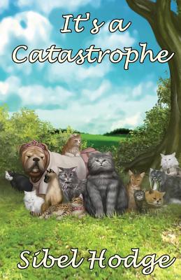 It's a Catastrophe - Hodge, Sibel