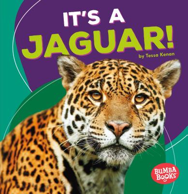 Its a Jaguar - Kenan, Tessa