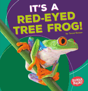 Its a Red Eyed Tree Frog