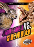 Jackrabbit vs. Sidewinder