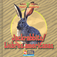 Jackrabbits / Liebres Americanas