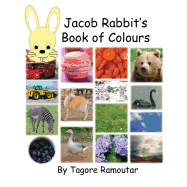 Jacob Rabbit's Book of Colour